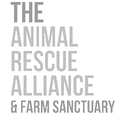 The Animal Rescue Alliance
