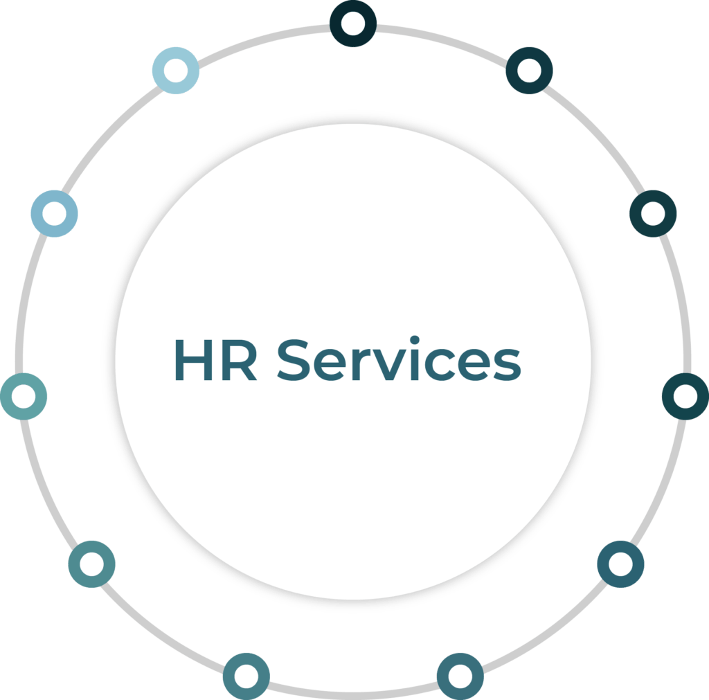 SDHR Consulting wheel of HR consulting services.